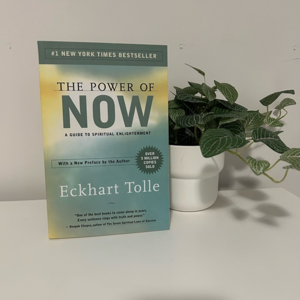 ✨3 for $25✨ THE POWER OF NOW by Eckhart Tolle.